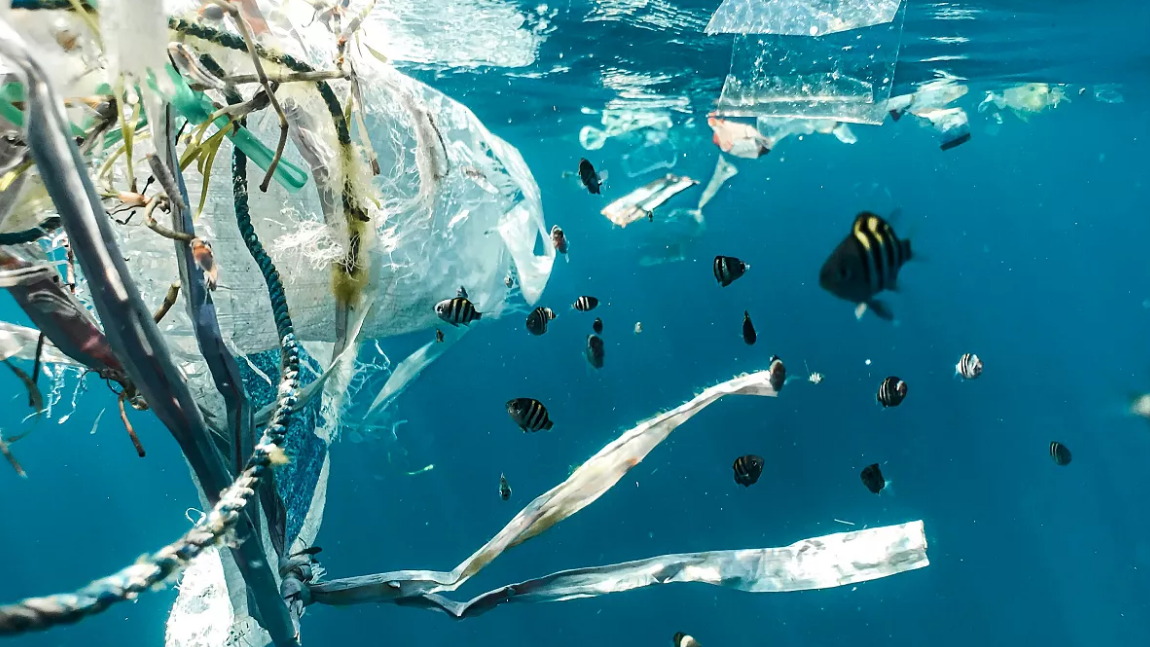 Paving the Way for a Global Plastic Pollution Treaty