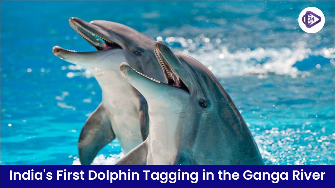 India’s first-ever tagging of dolphins in the river Ganga was conducted in Assam.