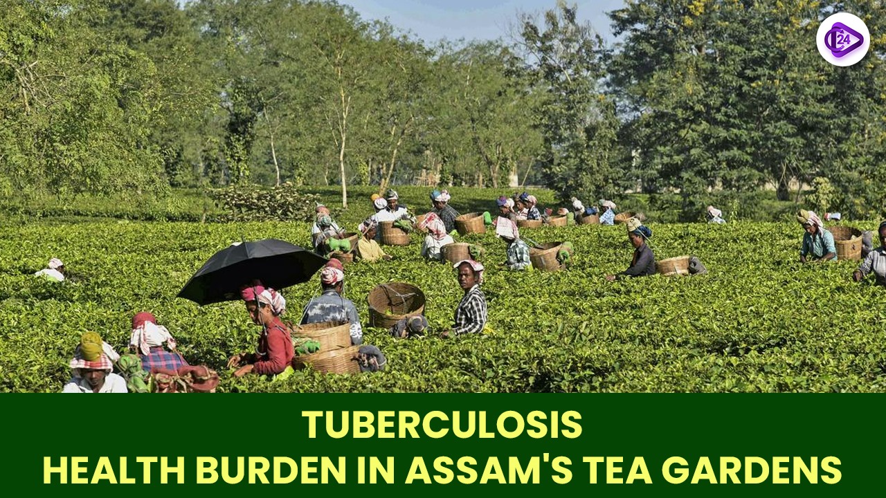 Tuberculosis and Emerging Health Burden in Assam’s Tea Garden Workers