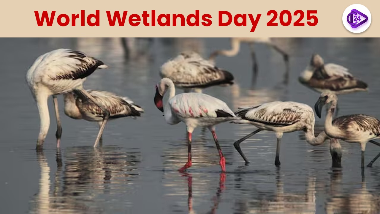 World Wetlands Day 2025 Celebrations at Parvati Arga Ramsar Site, Gonda, Uttar Pradesh