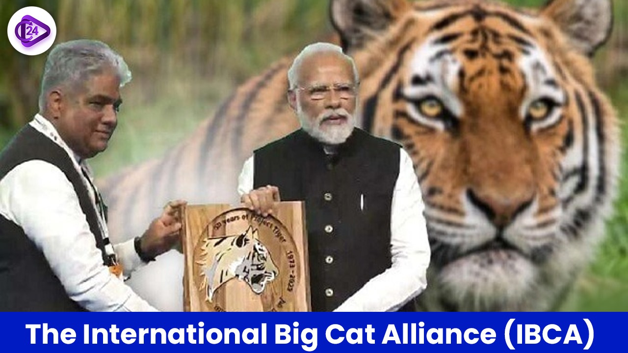 International Big Cat Alliance (IBCA): A Global Conservation Initiative