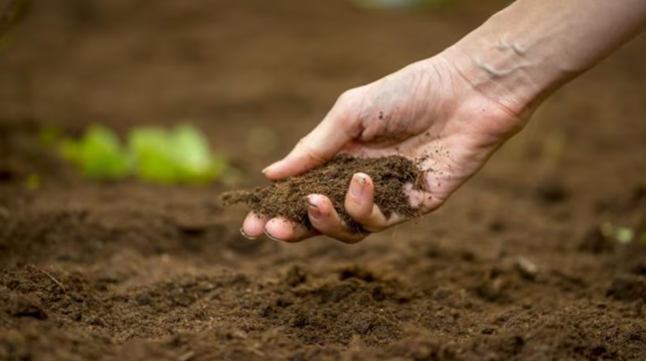 Haryana Launches ‘Har Khet-Swasth Khet’ to Boost Soil Health