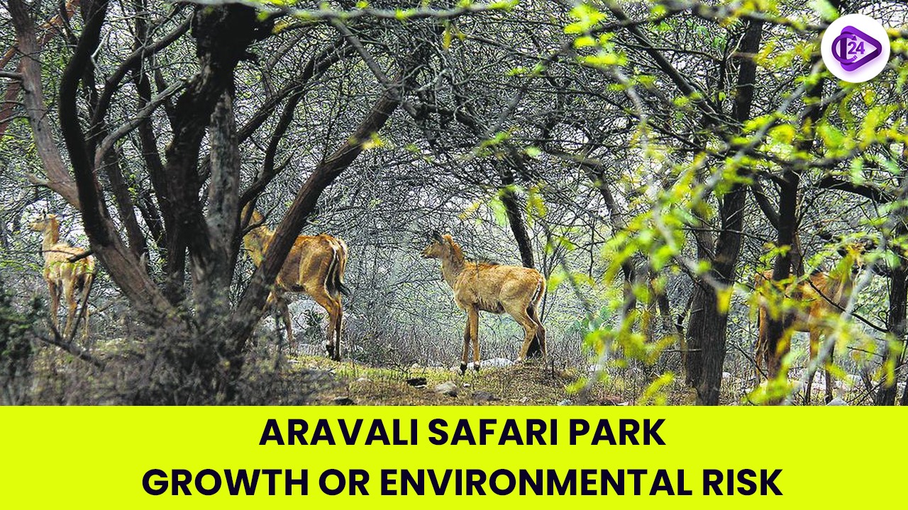 Aravali Safari Park Project Introduced the the Haryana Government