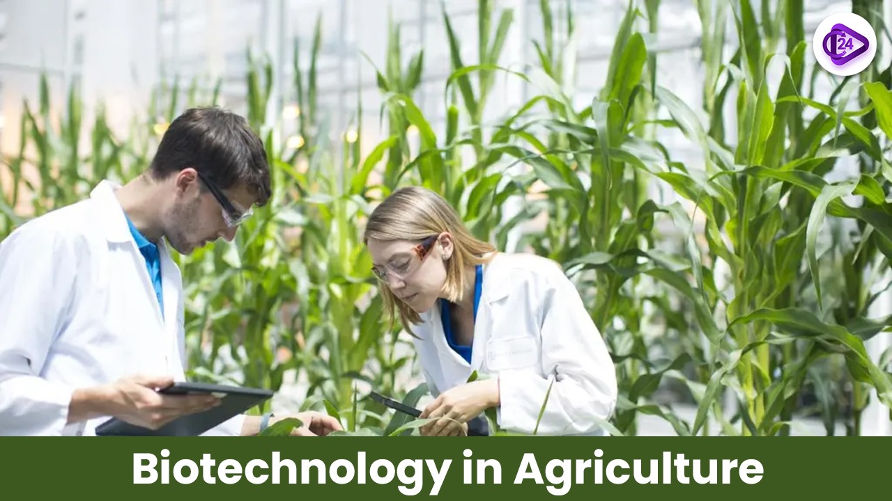 Biotechnology in Agriculture: Transforming Farming for the Future