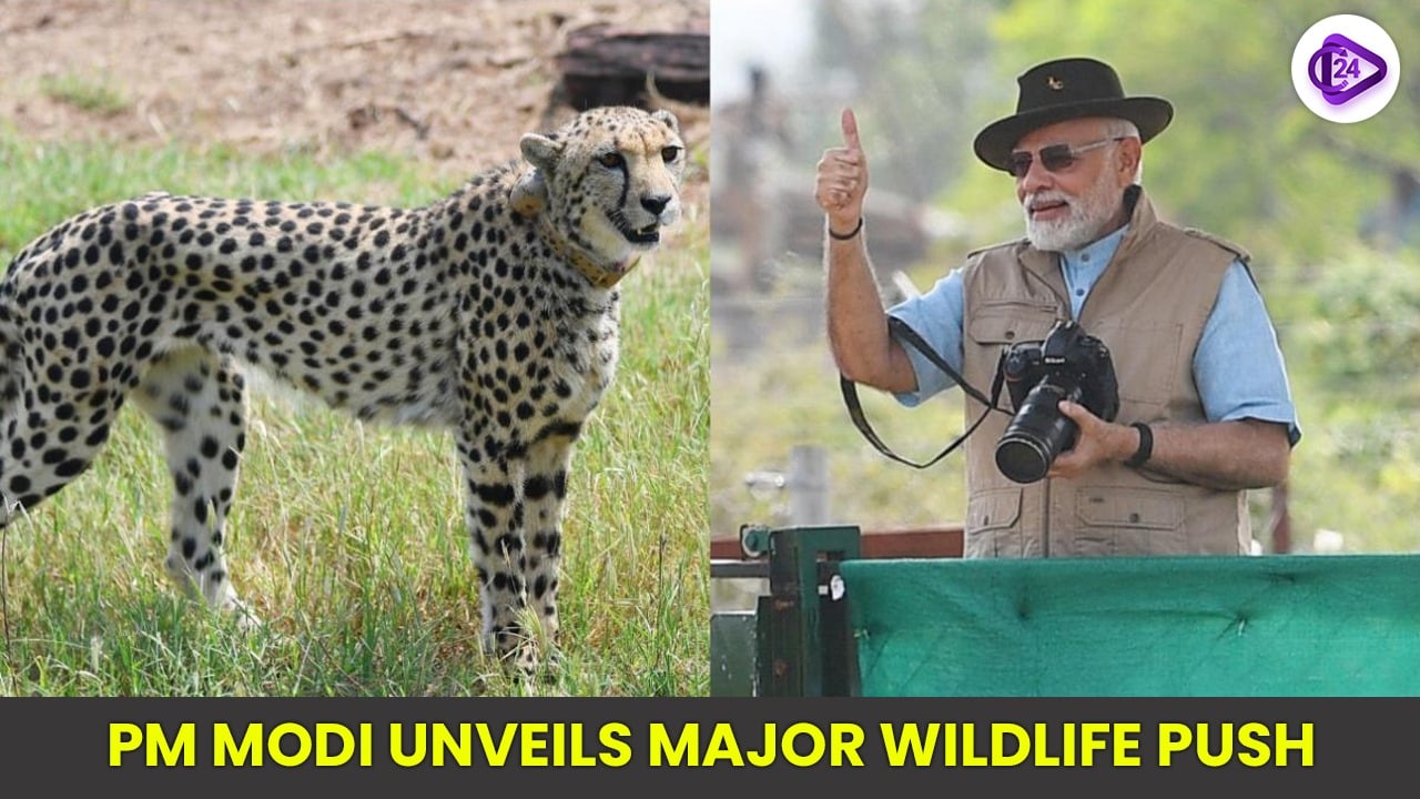 PM Modi unveils major wildlife push: dolphin census, lion survey, cheetah expansion