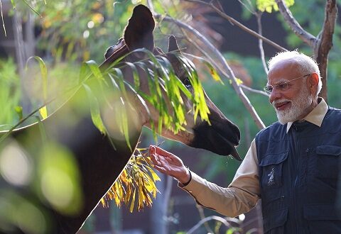 PM Modi Inaugurates Vantara: A Landmark Wildlife Conservation Project in Gujarat