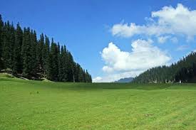 Bangus Valley: Emerging Ecotourism Hub in Kashmir’s Pristine Landscape