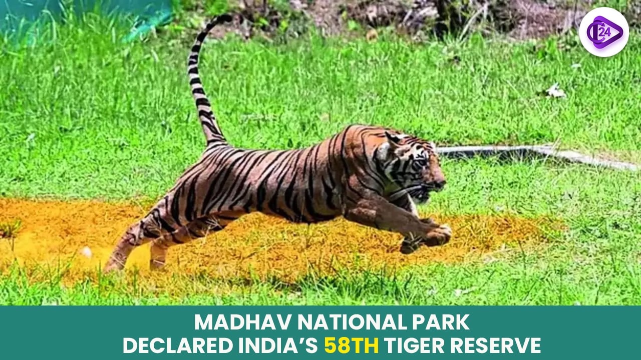 Madhav National Park Declared India’s 58th Tiger Reserve: A New Chapter in Wildlife Conservation