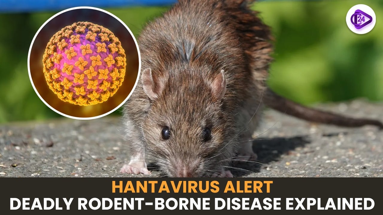 Hantavirus Pulmonary Syndrome (HPS): Symptoms, Risks, and Prevention